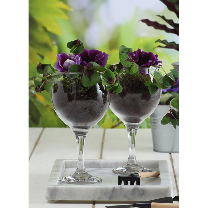 Lav Copa Misket multi proposto 645 cc Set x3