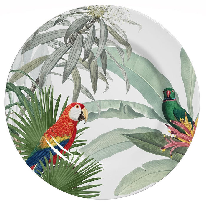 Alleanza Plato Raso Fauna Caixa 1da Classific.