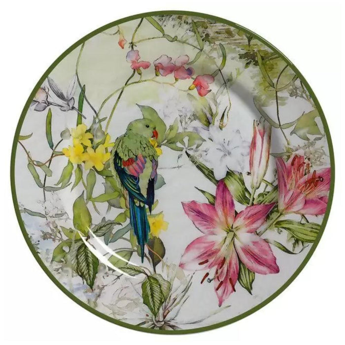 7908199426966 ALLEANZA PLATO RASO PARROTS 1 CAIXA 1DA CLASSIFIC.